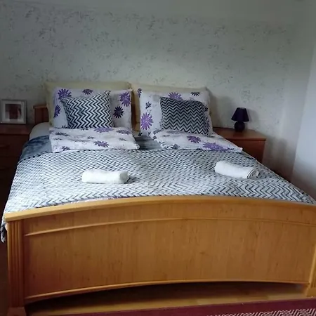 1 شقة بيهاتش